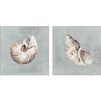 Framed 'Sand and Seashells  2 Piece Art Print Set' border=