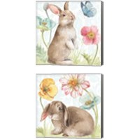 Framed 'Spring Softies Bunnies 2 Piece Canvas Print Set' border=