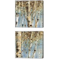 Framed White Forest 2 Piece Canvas Print Set