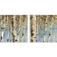 Framed White Forest 2 Piece Art Print Set