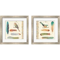 Framed Feather Tales 2 Piece Framed Art Print Set