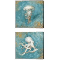 Framed 'Treasures from the Sea 2 Piece Canvas Print Set' border=
