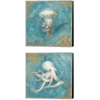 Framed 'Treasures from the Sea 2 Piece Canvas Print Set' border=