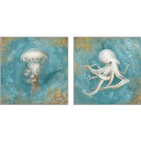 Framed Treasures from the Sea 2 Piece Art Print Set