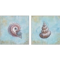 Framed 'Treasures from the Sea Watercolor 2 Piece Art Print Set' border=