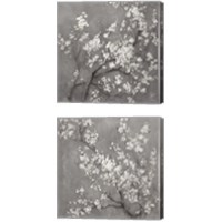 Framed White Cherry Blossoms on Grey 2 Piece Canvas Print Set