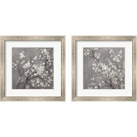 Framed 'White Cherry Blossoms on Grey 2 Piece Framed Art Print Set' border=