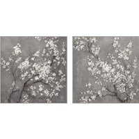 Framed White Cherry Blossoms on Grey 2 Piece Art Print Set