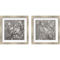 Framed White Cherry Blossoms on Grey 2 Piece Framed Art Print Set