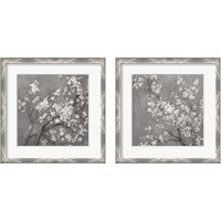 Framed 'White Cherry Blossoms on Grey 2 Piece Framed Art Print Set' border=