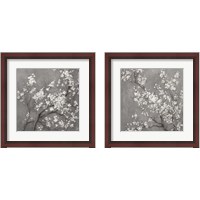 Framed White Cherry Blossoms on Grey 2 Piece Framed Art Print Set