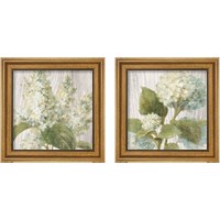 Framed 'Scented Cottage Florals 2 Piece Framed Art Print Set' border=