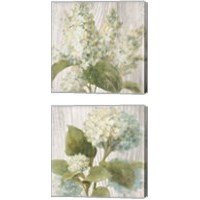 Framed 'Scented Cottage Florals 2 Piece Canvas Print Set' border=