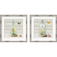 Framed 'Succulent Garden 2 Piece Framed Art Print Set' border=