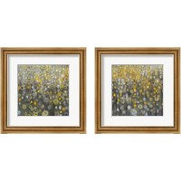 Framed 'Rain Abstract 2 Piece Framed Art Print Set' border=