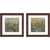 Framed Rain Abstract 2 Piece Framed Art Print Set