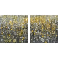 Framed Rain Abstract 2 Piece Art Print Set