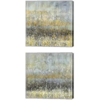 Framed Rain Abstract 2 Piece Canvas Print Set