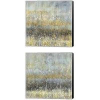 Framed Rain Abstract 2 Piece Canvas Print Set