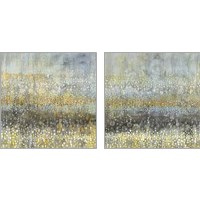 Framed Rain Abstract 2 Piece Art Print Set