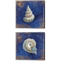 Framed 'Treasures from the Sea Indigo 2 Piece Canvas Print Set' border=
