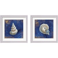 Framed Treasures from the Sea Indigo 2 Piece Framed Art Print Set