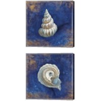Framed 'Treasures from the Sea Indigo 2 Piece Canvas Print Set' border=