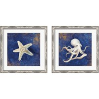 Framed 'Treasures from the Sea Indigo 2 Piece Framed Art Print Set' border=