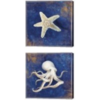 Framed Treasures from the Sea Indigo 2 Piece Canvas Print Set