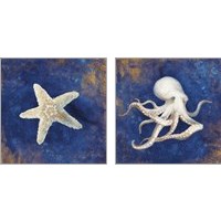 Framed 'Treasures from the Sea Indigo 2 Piece Art Print Set' border=