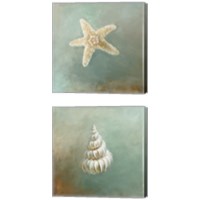 Framed Treasures from the Sea 2 Piece Canvas Print Set