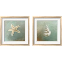 Framed 'Treasures from the Sea 2 Piece Framed Art Print Set' border=