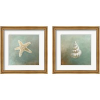 Framed 'Treasures from the Sea 2 Piece Framed Art Print Set' border=