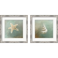 Framed Treasures from the Sea 2 Piece Framed Art Print Set