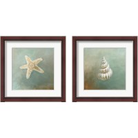 Framed Treasures from the Sea 2 Piece Framed Art Print Set