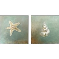 Framed Treasures from the Sea 2 Piece Art Print Set