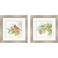 Framed Winter Birds  2 Piece Framed Art Print Set