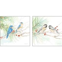 Framed Winter Birds  2 Piece Art Print Set