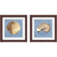 Framed 'Oceanum Shells Blue 2 Piece Framed Art Print Set' border=