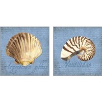 Framed Oceanum Shells Blue 2 Piece Art Print Set
