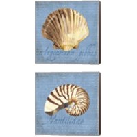 Framed 'Oceanum Shells Blue 2 Piece Canvas Print Set' border=