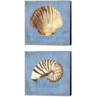 Framed 'Oceanum Shells Blue 2 Piece Canvas Print Set' border=