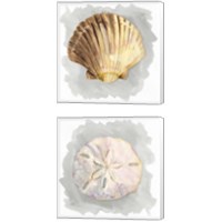 Framed Shells on Grey 2 Piece Canvas Print Set