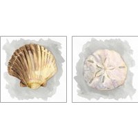 Framed Shells on Grey 2 Piece Art Print Set