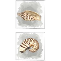 Framed Shells on Grey 2 Piece Canvas Print Set