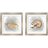 Framed 'Shells on Grey 2 Piece Framed Art Print Set' border=
