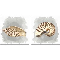 Framed Shells on Grey 2 Piece Art Print Set