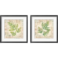 Framed Birch Bark Ferns 2 Piece Framed Art Print Set