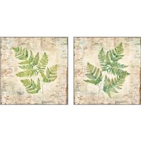 Framed 'Birch Bark Ferns 2 Piece Art Print Set' border=