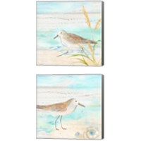 Framed 'Sandpiper Beach 2 Piece Canvas Print Set' border=